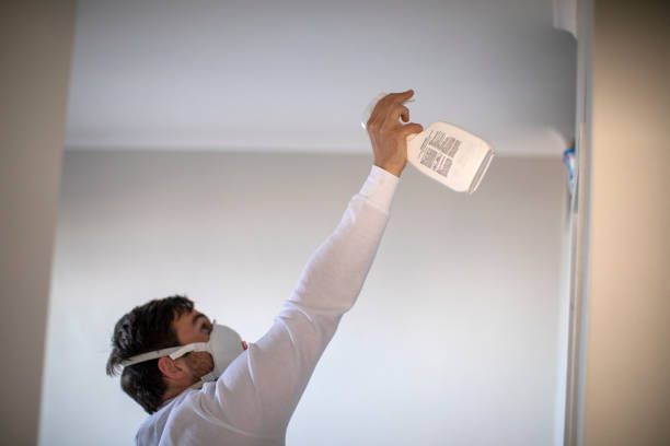 Mold Removal and Inspection in Riverside, PA