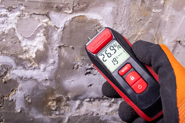 Best Black Mold Removal  in Riverside, PA