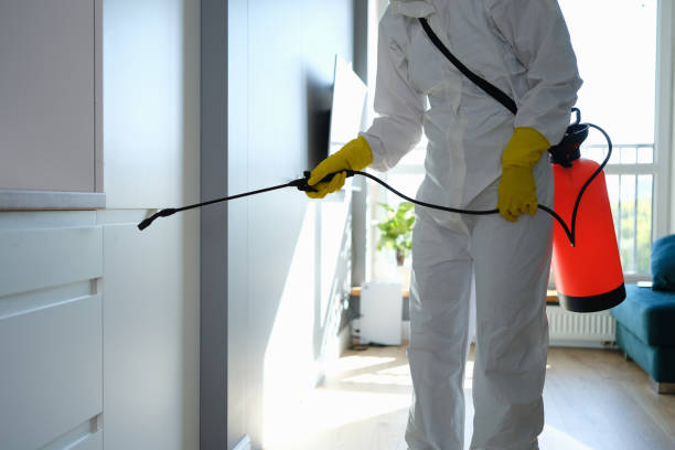 Best Commercial Mold Removal  in Riverside, PA
